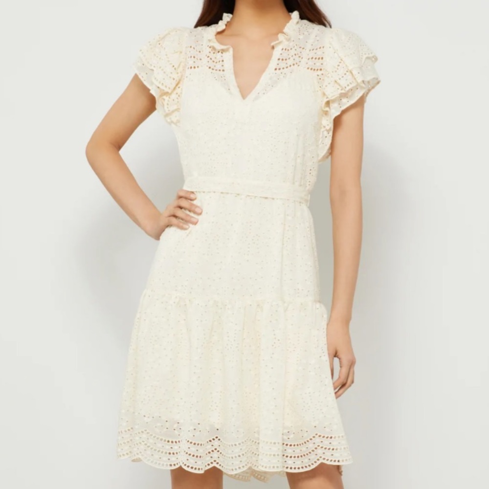 BCBG Aliza Mini Day Dress- Size Small (Like New)
